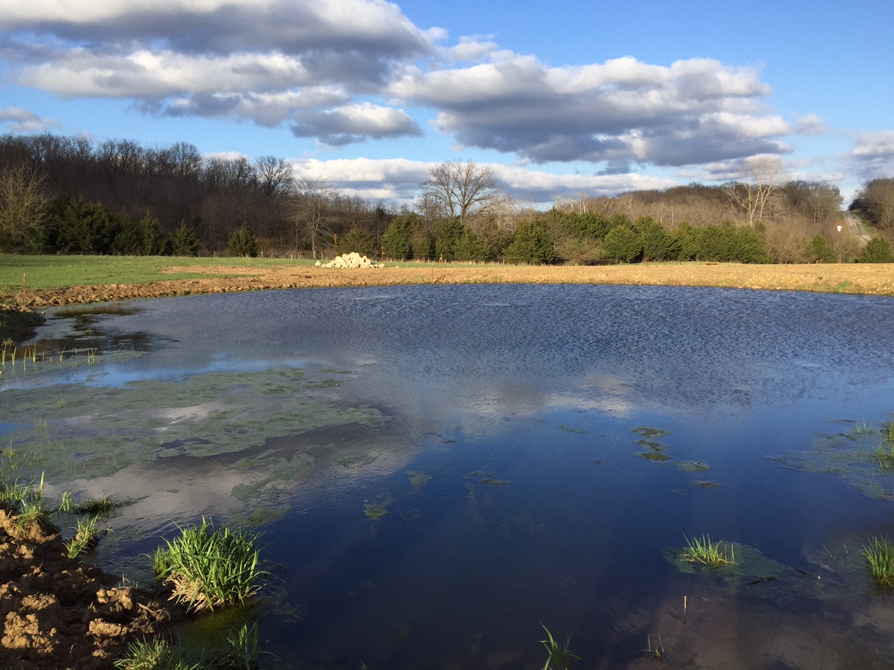 Attached picture Little pond and clouds april 9.JPG